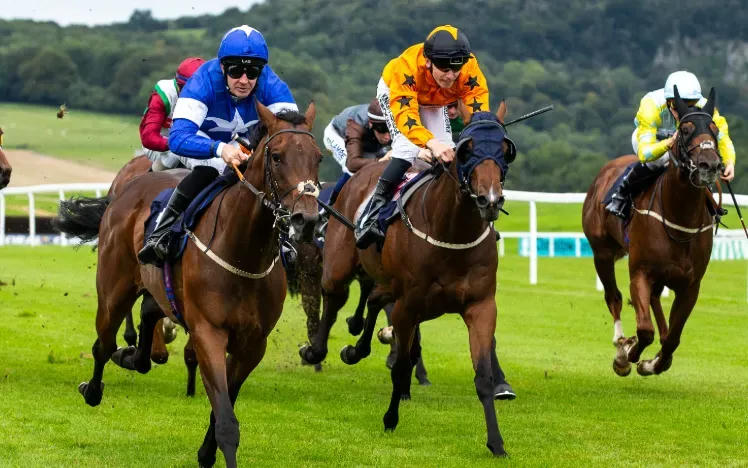 Horses at Chepstow Racecourse